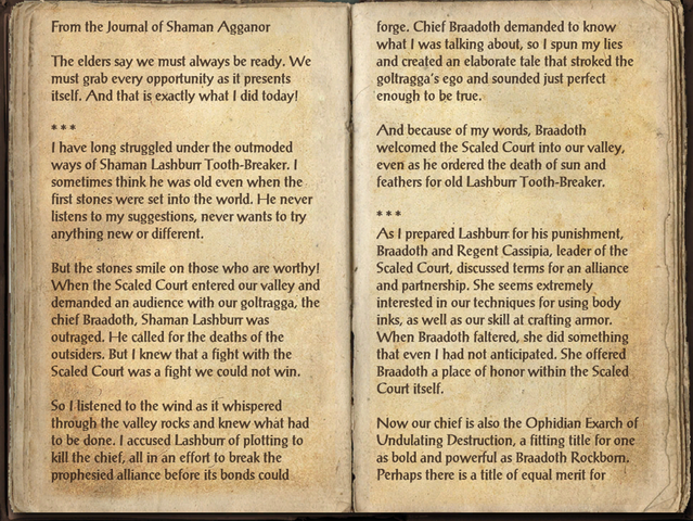 File:Agganor's Journal.png