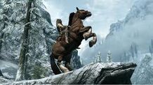 Cavallo.jpg
