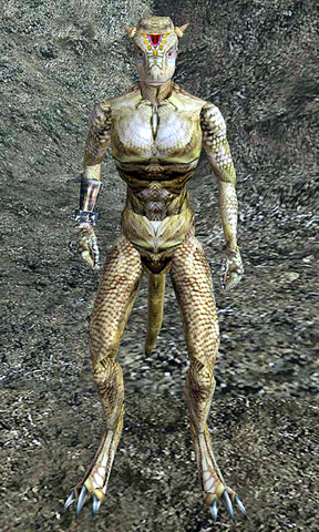 File:Neesha Morrowind.png