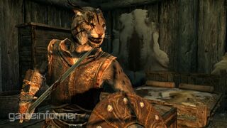Reinerskyrim22