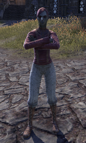File:Aerona Berendas.png