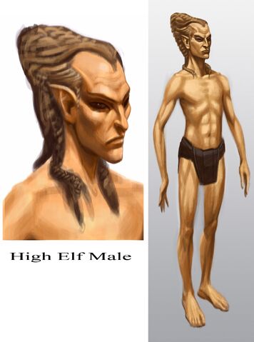 File:High Elf Male.jpg
