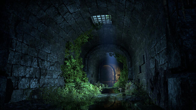 File:Imperial City Sewers.jpeg