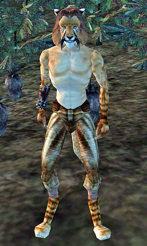 File:Ri'Zaadha.png