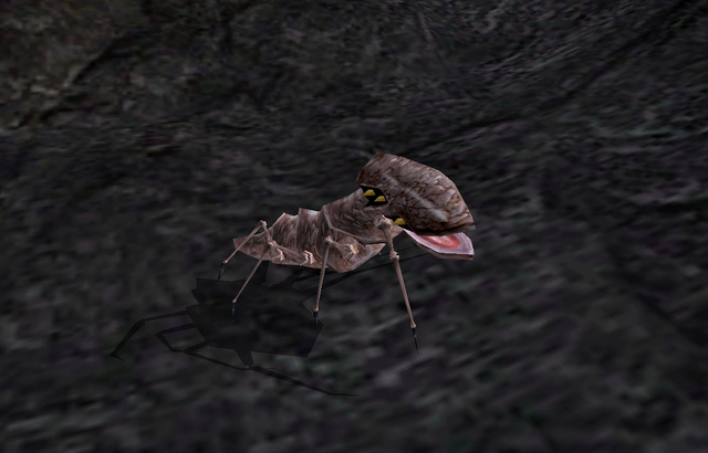File:Scrib (Morrowind).png