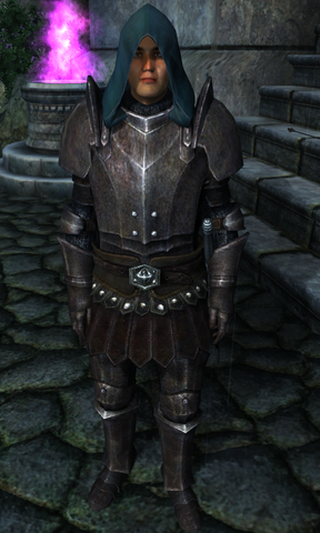 File:TESIV Guard Battlemage.png