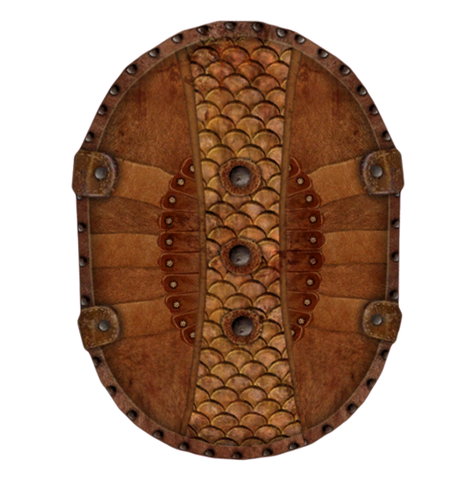 File:Leather Shield (Oblivion).png
