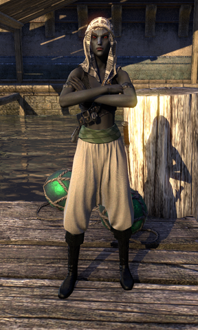 File:Captain Hler.png