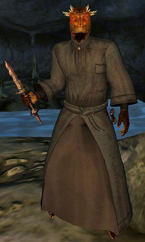 File:ArgonianShaman.png