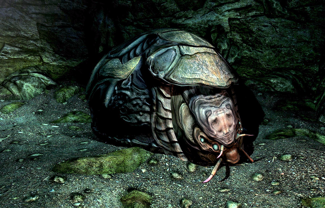 File:Shellbug.png