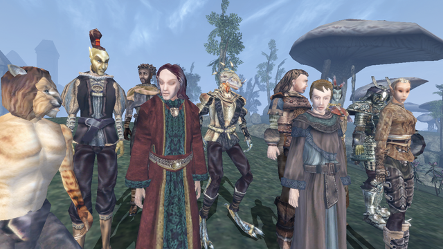 File:Races (1) - Morrowind.png