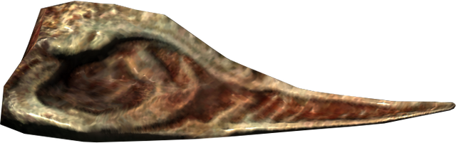 File:TESV Falmer Ear.png