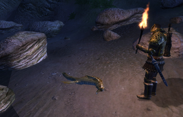File:Go Fish Slaughterfish.png