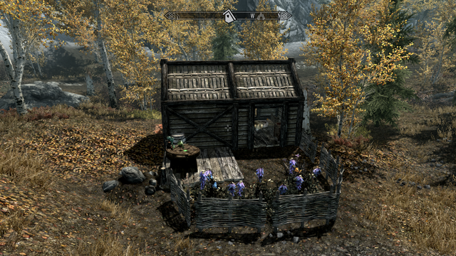 File:Alchemist's Shack (2).png