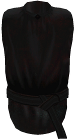 Black Robe