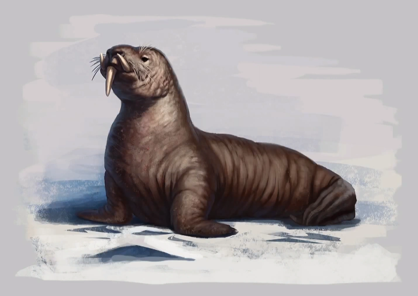 latest?cb=20151025190147