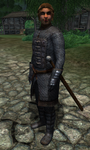 File:TESIV Character Will flee.png