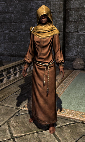 File:Hooded Monk Robes 000107106.png