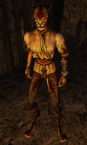 File:Adharanji.png