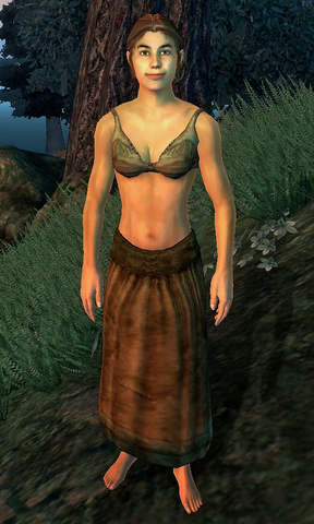 File:Ascended Immortal.png