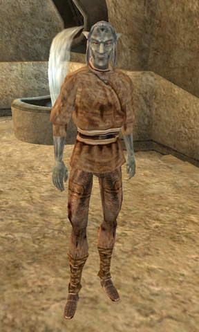 File:Adaves Therayn.png
