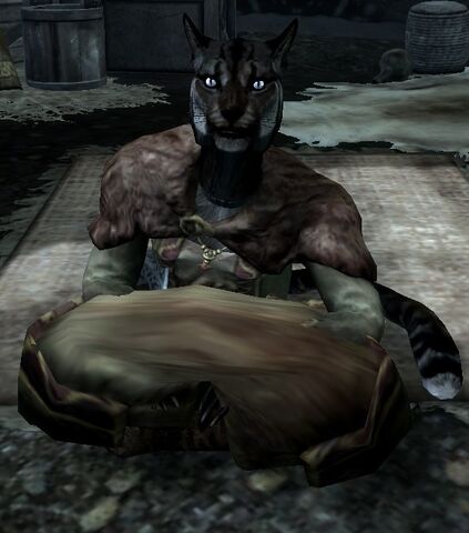 File:Skyrim K Ahkari.jpg