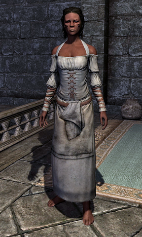 File:Chefs Tunic 0001BC82.png
