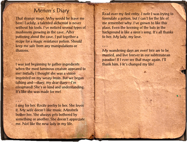File:Merion's Diary.png