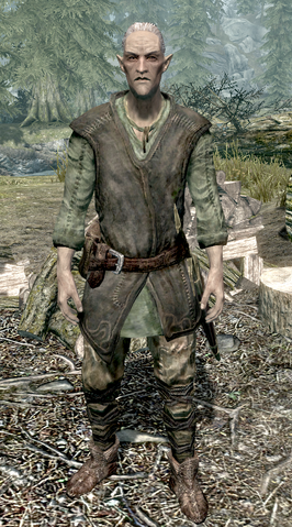 File:TESV Faendal.png