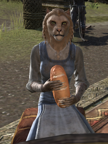 File:Zalurrah.png