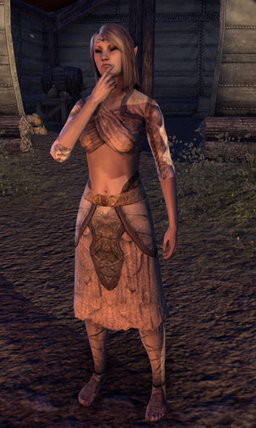 File:Rinareth the Wanderer.png