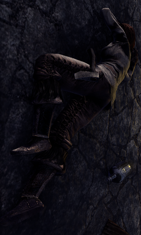 File:Agnedir Forestborne.png