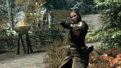 Dawnguardcrossbow.png.png