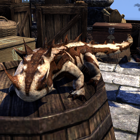 File:ESO Fidget.png