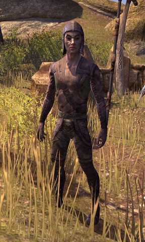 File:Filmian.png