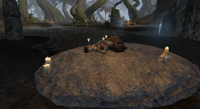 File:Fulfilling ones fate1.png