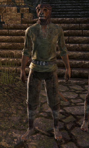 File:Nulk.png