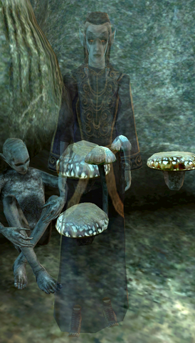 File:Ane Teria.png