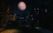ChristmasLanternsInSolitude