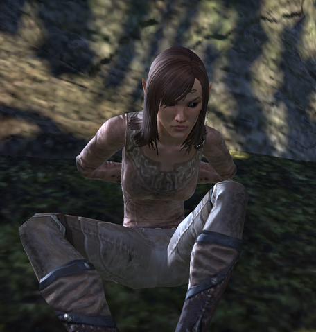 File:Erinel.png