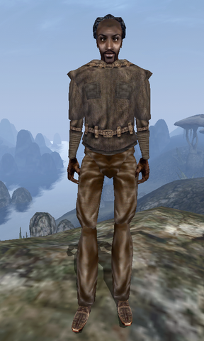 File:Achel - Morrowind.png