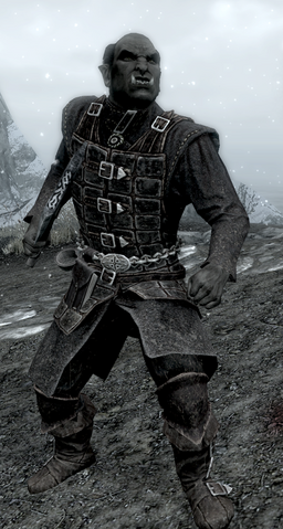 File:Dawnguard Scout 1.png