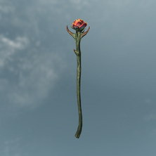 Sanguine Rose.png
