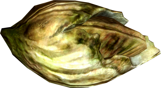 File:Nordic barnacle.png