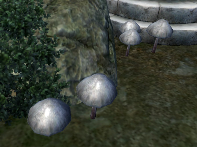File:Steel-Blue Entoloma.png