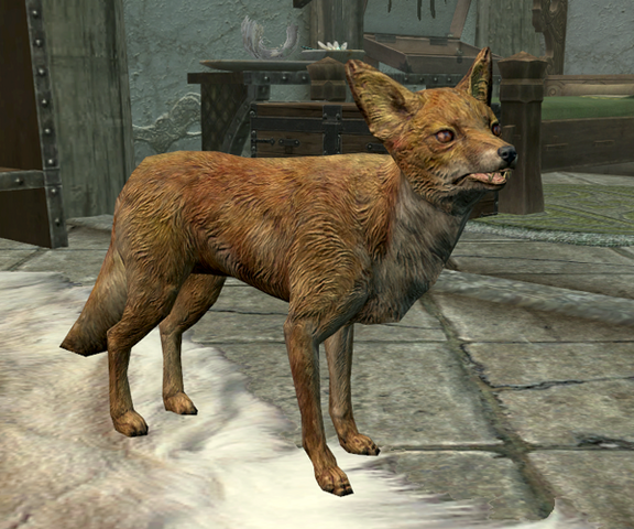 File:Kit.png