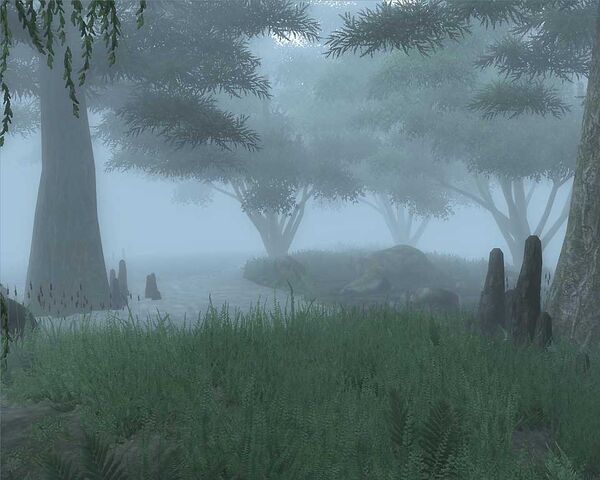 File:Blackwood.jpg