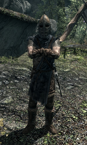 File:Stormcloak Soldier 00027498.png