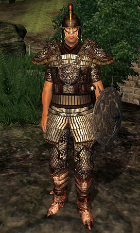 File:Blackwood Company Guard WatersEdge1.png