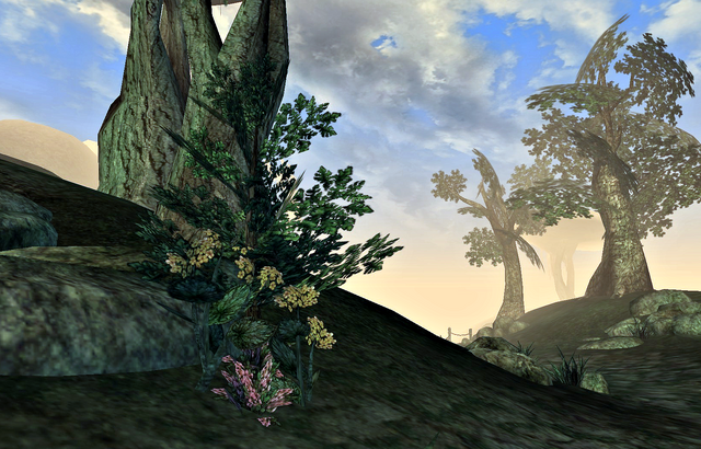 File:Four Types of Flowers Quest.png